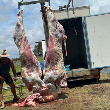 Home kill to the freezer with the Status solid 300