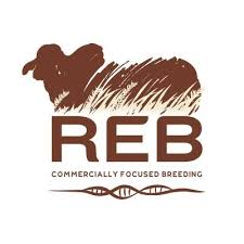 REB Commercially focused Breeding