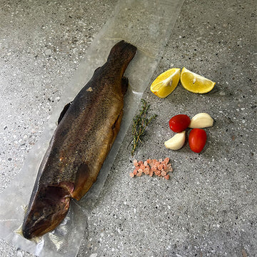 Best Vacuum Sealer For Fish