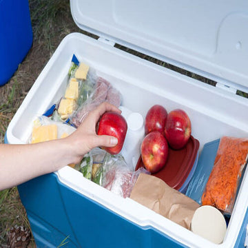 Food storage while camping - how should you go about it?