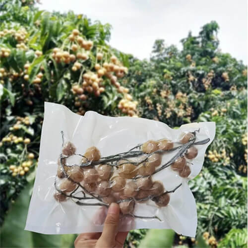 Compostable food vacuum bags